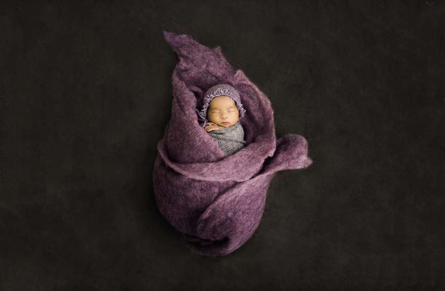 sydney newborn photography-26