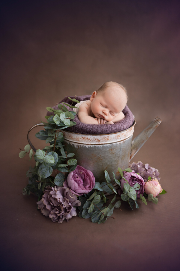 sydney newborn photography infant photography-13