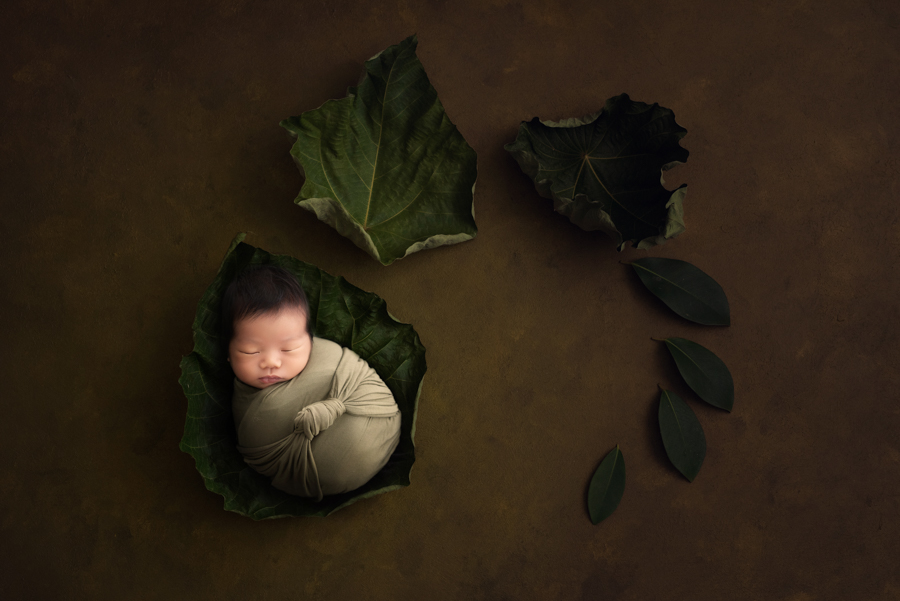 sydney newborn photography infant photography